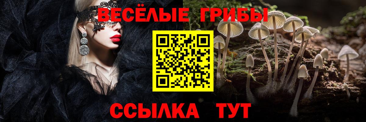 Псилоцибиновые грибы Psilocybine cubensis  Вход с VPN  Алейск 